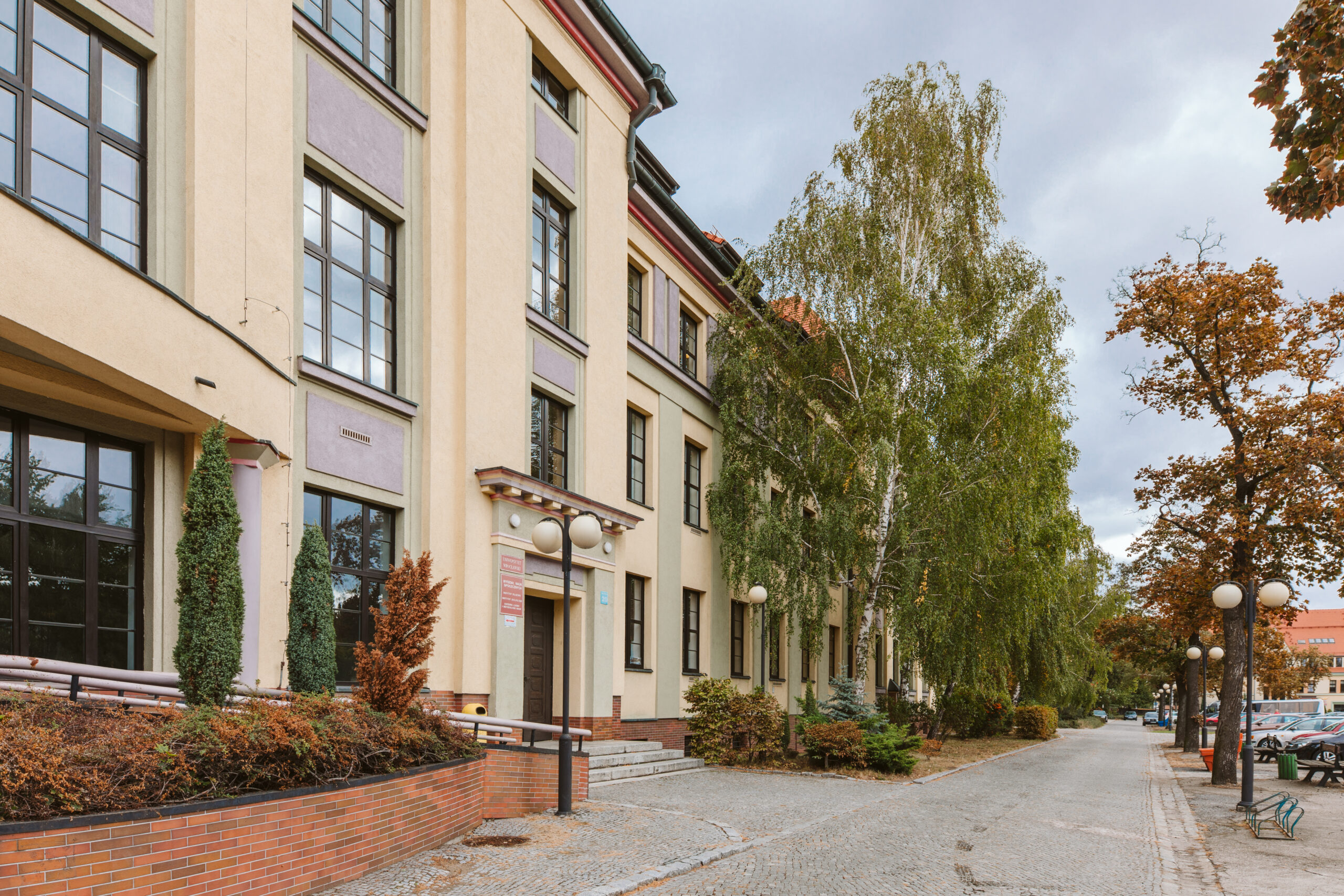Piesek
