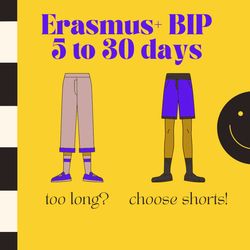 Erasmus BIP ENG